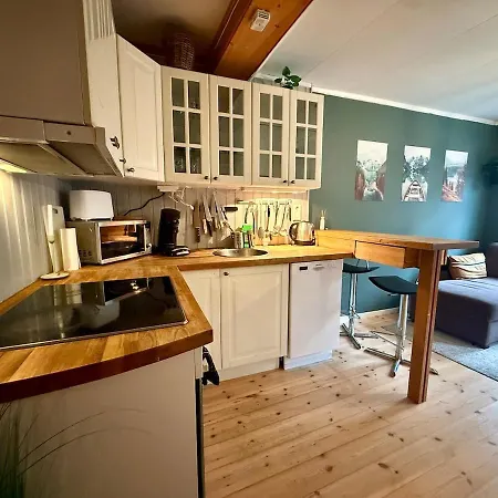 Lägenhet Rustic Retreat Apartment, & Free Parking ! Trondheim